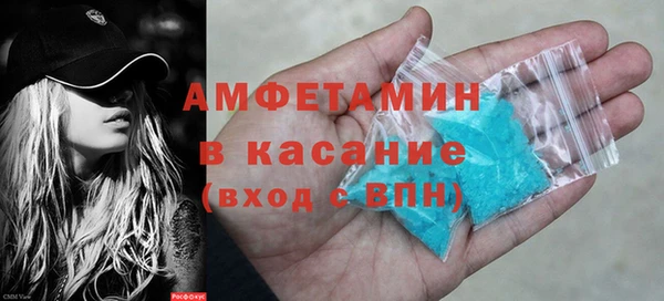 мет Алексин